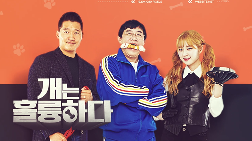 예능 <개는 훌륭하다>